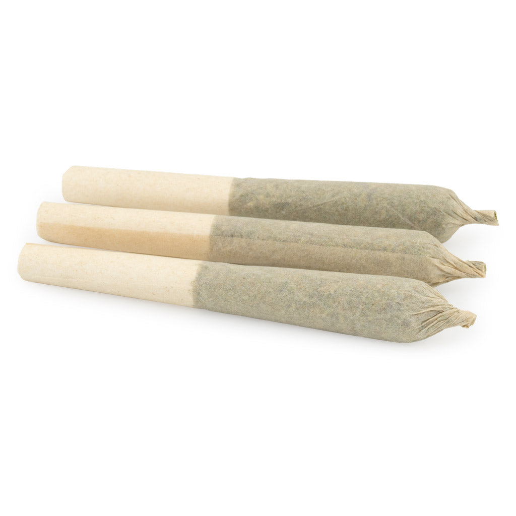 Citrus Orchard Pre-Rolls - 