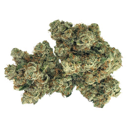 Photo Living Cannabis - Triple OG