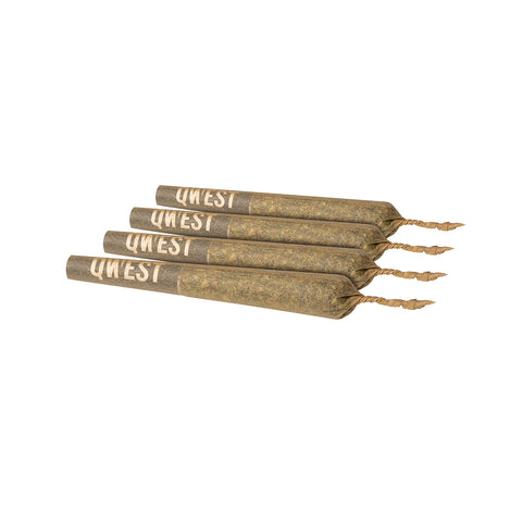 Photo Family Pack Pre-Roll