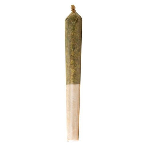 Photo Bunch of lil Buddies Pre-Roll