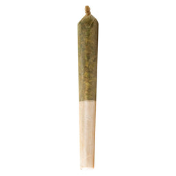 Photo Bunch of lil Buddies Pre-Roll