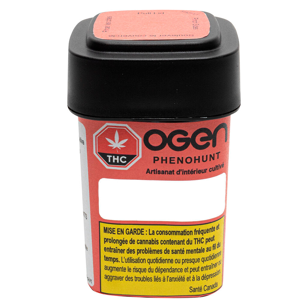 PHENOHUNT Indoor Craft Grown Sativa - 