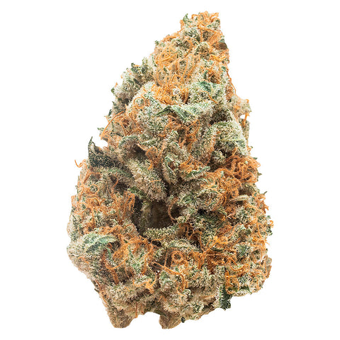 Photo PHENOHUNT Indoor Craft Grown Sativa